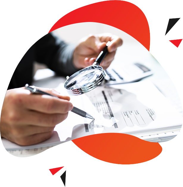 Diverse trajectories within the financial sector